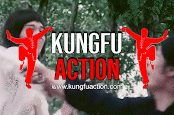 kungfuaction.com