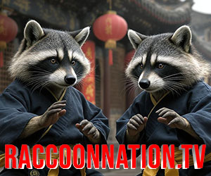 raccoonnation.tv